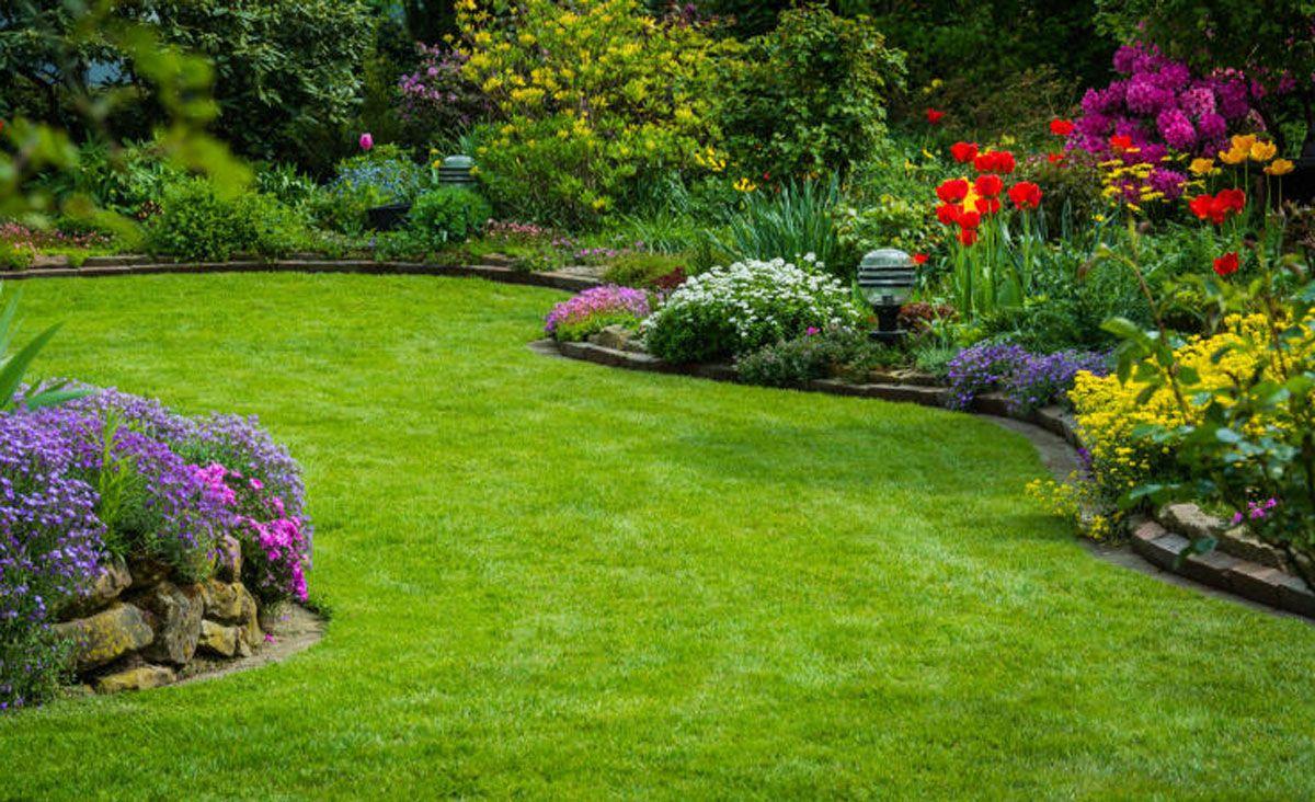 Cultivating Lush Lawns & Diverse Plantings