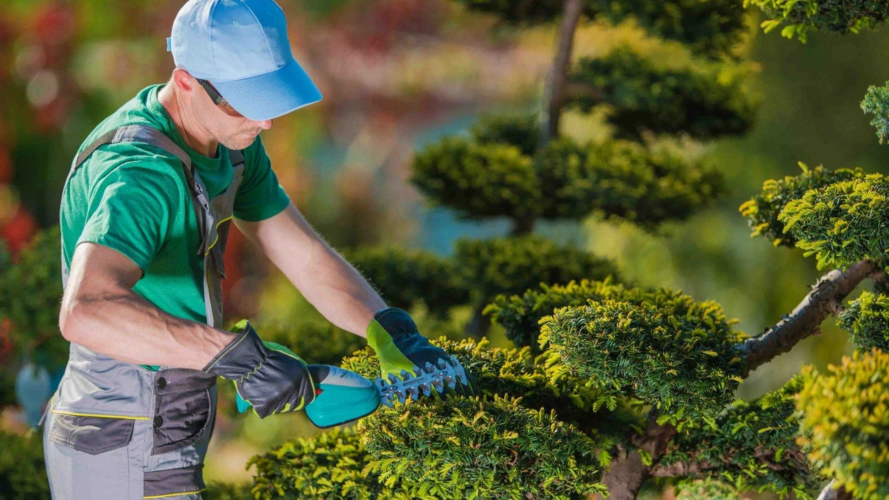 Your Garden, Your Sanctuary: Principles of Beautiful Landscape Creation