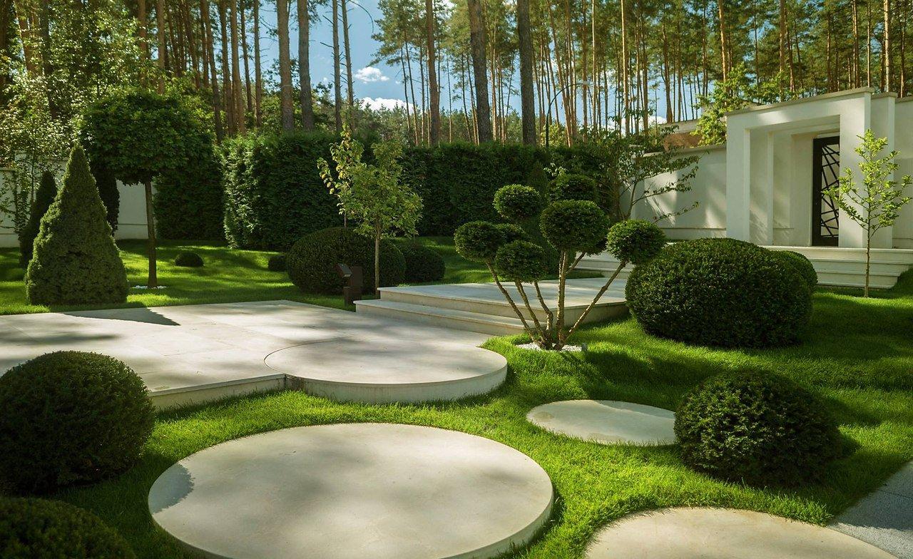 Transform Your Outdoor Space with Sustainable Roots Design